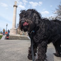 Photo taken at Logan Square - IL Centennial Monument by Zig on 3/29/2024