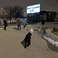 Photo taken at Logan Square Dog Park by Zig on 1/29/2020