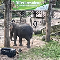 Photo taken at Zoologischer Stadtgarten Karlsruhe by Markus K. on 11/8/2022