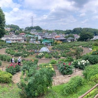 Photo taken at 町田ダリア園 by つばめ on 7/11/2021