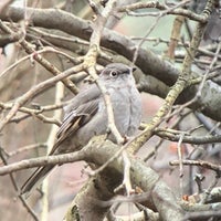 Photo taken at Yellow Creek State Park by Doctor K. on 12/29/2018