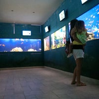 7/25/2013 tarihinde Domagoj K.ziyaretçi tarafından Aquarium Terrarium Sibenik ZOO'de çekilen fotoğraf