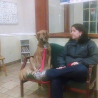 Vca healthy best sale paws
