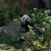 Photo taken at Ueno Zoo by Song 승. on 5/29/2024