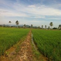 Mardi Seberang Perai Government Building