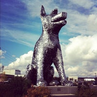 Denver Animal Shelter - Valverde - 5 tips Denver Animal Shelter - Valverde - 5 tips