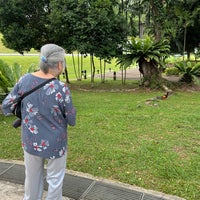 Photo taken at MacRitchie Reservoir Park by Belinda A. on 4/21/2024