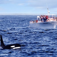 Das Foto wurde bei Seattle Orca Whale Watching von Seattle Orca Whale Watching am 4/27/2016 aufgenommen