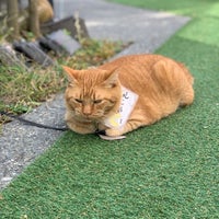 ほとめき市場 一太郎 115 Visitors ほとめき市場 一太郎 115 Visitors
