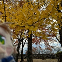 Photo taken at Oka Castle Site by しみちゃん あ. on 11/26/2023