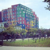 Alpargatas outlet central park clearance