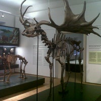 Photo taken at Naturkundemuseum by Johannes P. on 8/14/2013