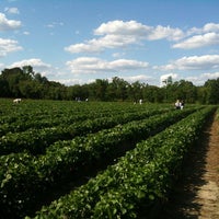 Das Foto wurde bei Strawberries on 903 von Kim F. am 5/13/2013 aufgenommen