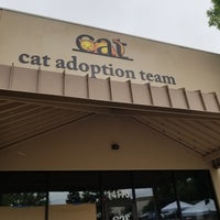 Foto tirada no(a) Cat Adoption Team por Riane . em 6/30/2018
