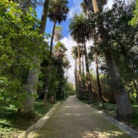 Photo taken at Jardim Botânico by Migo on 10/31/2023