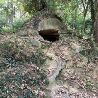 如法