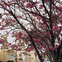 Photo taken at St. Emydius Church by MrsHenryBrandt on 4/25/2014