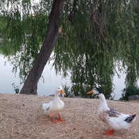 Photo taken at Bakırköy Botanik Parkı by Gülsüm Ö. on 7/22/2023