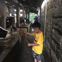 Photo taken at Istana Susu Cibugary (Cibubur Diary Farm) by Echa on 7/10/2018
