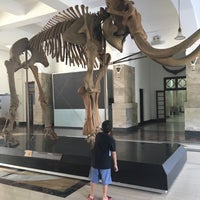 Foto diambil di Museum Geologi oleh Echa pada 6/30/2018