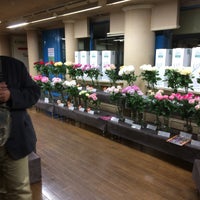 Naniwa Flower Auction なにわ花いちば 鶴見区 茨田大宮2 7 70