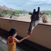 Photo taken at giraffe feeding by AouN~GroM on 8/1/2023