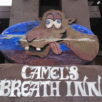 Camel S Breath Inn Grantville 6 Tips From 394 Visitors A camel appears as one of the attractions in the travelling circus when it is camped outside of hometown. foursquare