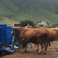 รูปภาพถ่ายที่ Mercadillo del Agricultor y Artesano Tegueste โดย Eva P. เมื่อ 4/22/2018
