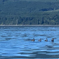 Photo taken at Eagle Wing Whale &amp;amp; Wildlife Watching Tours by Priscilla W. on 9/3/2021
