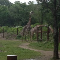Directions To Franklin Park Zoo Franklin Park Zoo - 53 Tips