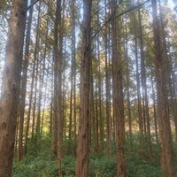 Photo taken at Mulhyanggi Arboretum by 민규 박. on 10/31/2021