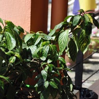 Setiawangsa Kuala Lumpur Kuala Lumpur