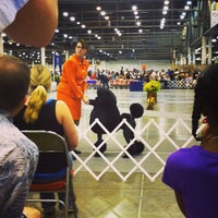 Photo taken at Houston Dog Show by Taylor D. on 7/21/2013