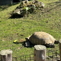 Photo taken at Franklin Park Zoo by Miss. R. on 10/3/2023