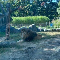 Photo taken at Franklin Park Zoo by Miss. R. on 10/3/2023