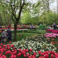 Photo taken at Keukenhof by Dmitry I. on 5/10/2015