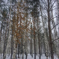 Photo taken at ТРЦ «Франт» by Макс on 1/20/2017