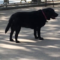 Photo taken at Battery Park Dog Run by Perry H. on 5/28/2016