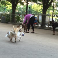 Photo taken at Battery Park Dog Run by Perry H. on 6/24/2016