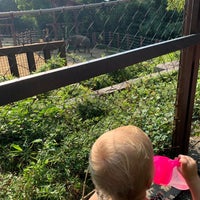 Photo taken at Elephant Trails Exhibit by Allison B. on 8/25/2020