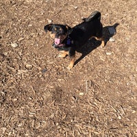 Photo taken at Piedmont Park Small Dog Park by Gillian B. on 2/8/2015