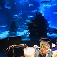 Photo taken at Aquarium Restaurant by M O. on 1/20/2019