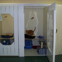 forest park veterinary