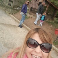 4/5/2015 tarihinde Seçil M.ziyaretçi tarafından Piknik Park Polonezköy Petting Zoo'de çekilen fotoğraf