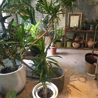 Growing Plants Oslo 福島区 北区大淀南3 2 4 Growing Plants Oslo 福島区 北区大淀南3 2 4