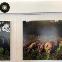 10/12/2019 tarihinde William H.ziyaretçi tarafından Grazin&amp;#39; Diner'de çekilen fotoğraf