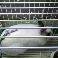 カインズホーム 佐久平店 佐久市 Da Ev Hizmeti