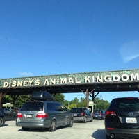 Animal Kingdom Parking Lot - Walt Disney World