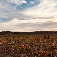 10/23/2017 tarihinde Rod A.ziyaretçi tarafından Thomas Family Farm'de çekilen fotoğraf