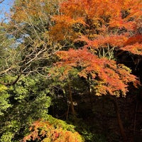 Photo taken at Minō Park by ガッキー on 11/28/2022